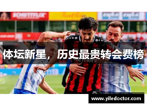 体坛新星，历史最贵转会费榜